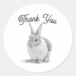 Rabbit Thank You