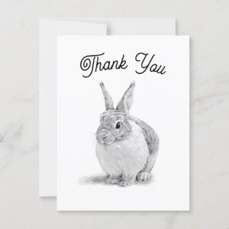 Rabbit Thank You