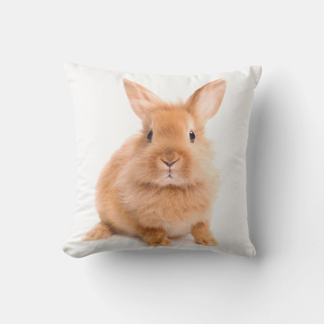 Rabbit Throw Pillow | Zazzle