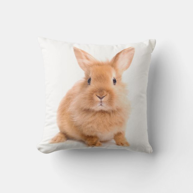 Rabbit Throw Pillow (Front)