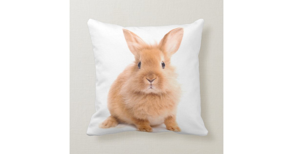 Rabbit Throw Pillow | Zazzle.com