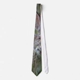Rabbit Tie