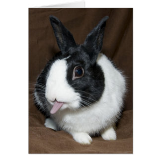 Rabbit Tongue Cards