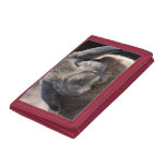 Rabbit Trifold Wallet