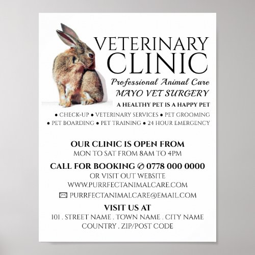 Rabbit Veterinarian Veterinary Service Advert Poster