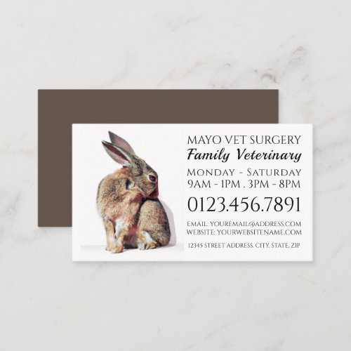 Rabbit Veterinarian Veterinary Service Business Card