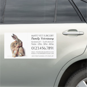 Rabbit, Veterinarian, Veterinary Service Car Magnet