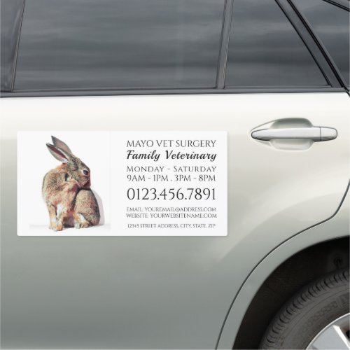 Rabbit Veterinarian Veterinary Service Car Magnet