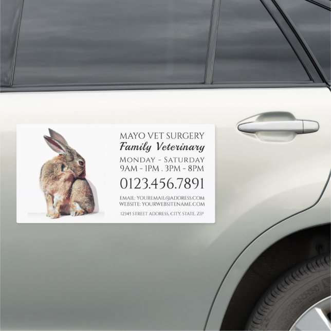 Rabbit, Veterinarian, Veterinary Service Car Magnet (In Situ)