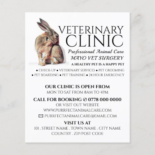 Rabbit Veterinarian Veterinary Service Flyer