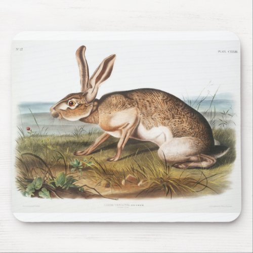 Rabbit Vintage Mouse Pad