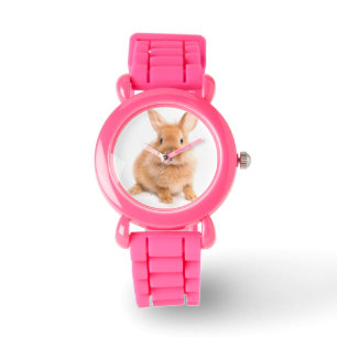 Rabbit Watch