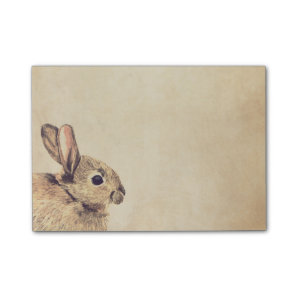 Rabbit Watercolor Sketch Post-it® Notes