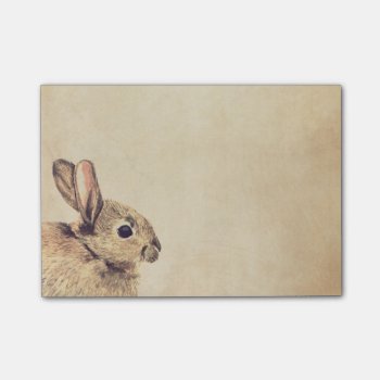 Rabbit Watercolor Sketch Post-it® Notes by LisaMarieArt at Zazzle