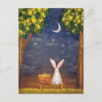 Rabbit With a Suitcase Looking Into the Night Sky