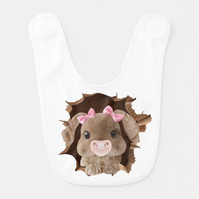 Rabbit with pacifier baby bib (Front)