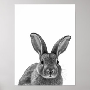 Rabbit Woodland Modern Portrait black white Poster