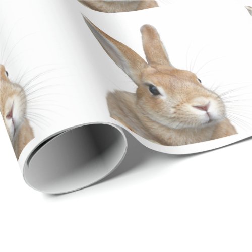 rabbit wrapping paper