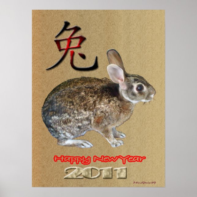 Rabbit  Year 2011 Poster (Front)