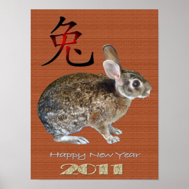 Rabbit  Year 2011 Poster (Front)