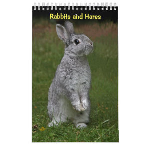 Rabbits and Hares Calendar