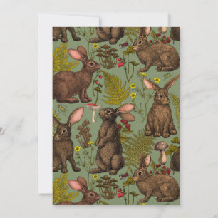 Rabbits and woodland flora