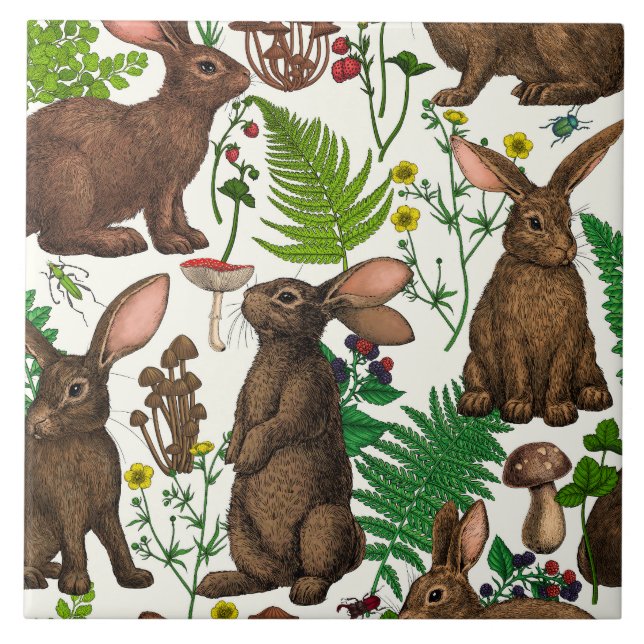 Rabbits and woodland flora 4 ceramic tile (Front)