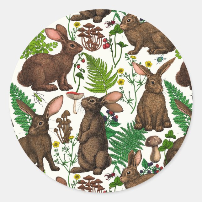 Rabbits and woodland flora 4 classic round sticker (Front)