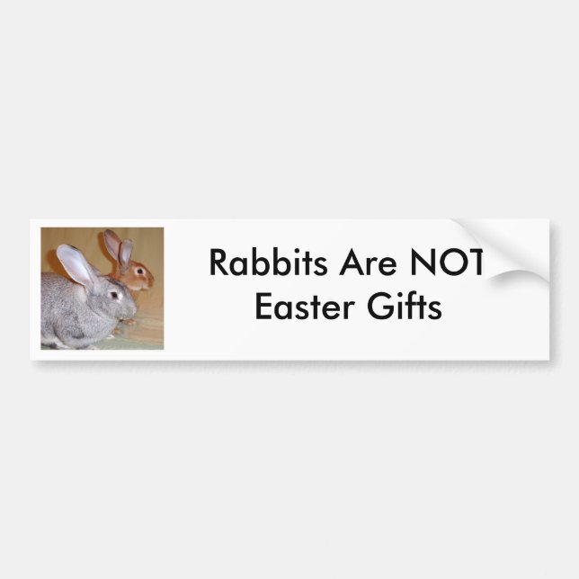 Rabbits Are NOT Easter Gifts Bumper Sticker (Front)