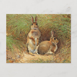 Rabbits by Victor Stoetzner-Lund Postcard
