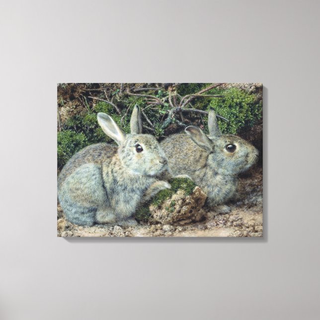 Rabbits Canvas Print (Front)