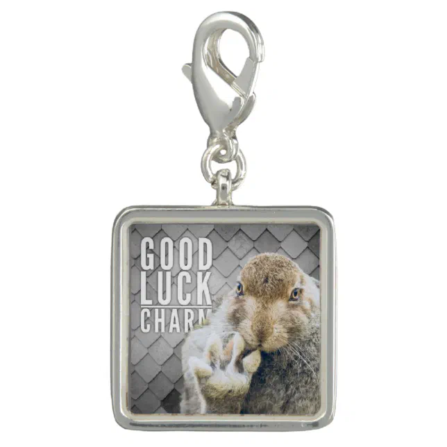 Rabbit's Foot Good Luck Charm Zazzle
