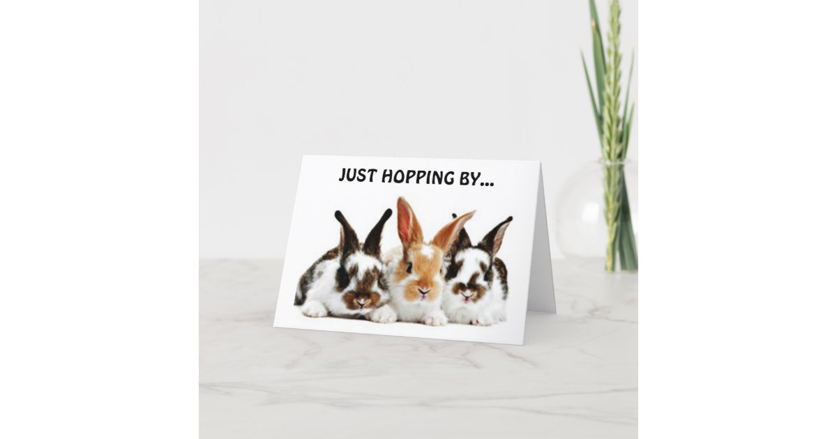 RABBITS HOPPING BY TO WISH YOU A HAPPY BIRTHDAY CARD | Zazzle