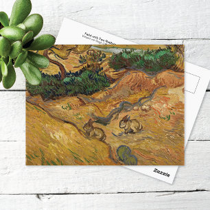 Rabbits in the Field Vincent van Gogh Postcard