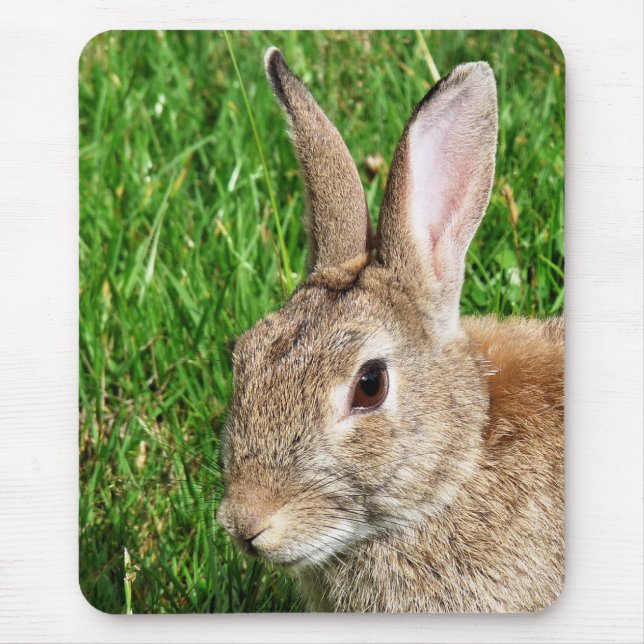 RABBITS MOUSE PAD (Front)
