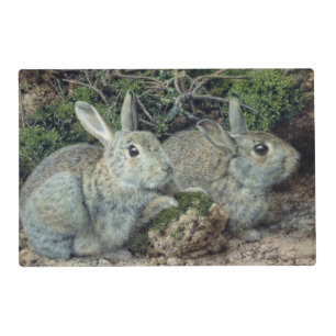 Rabbits Placemat