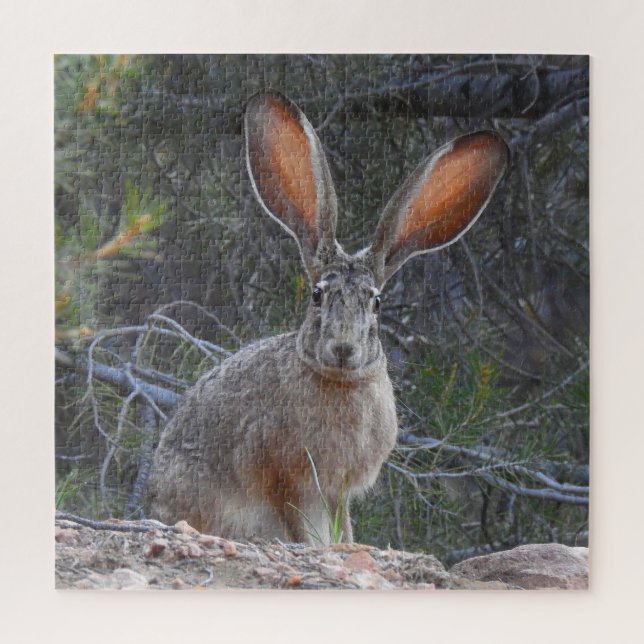 Rabbits, wildlife, puzzle with gift box, puzzles (Vertical)