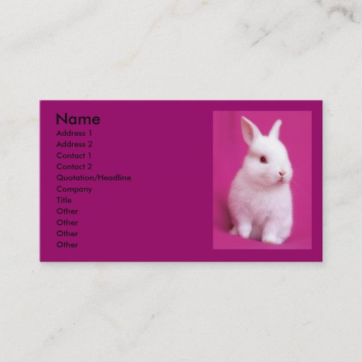 Customizable Rabbitt Business Card