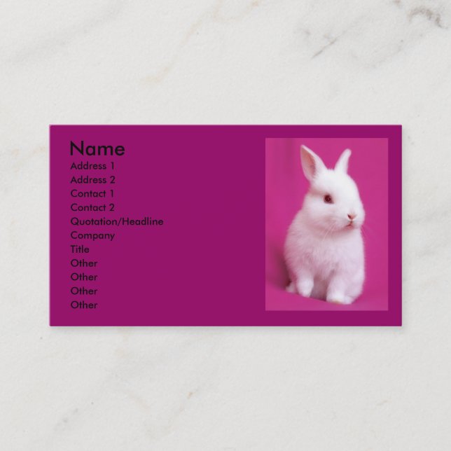 Rabbitt Business Card (Front)