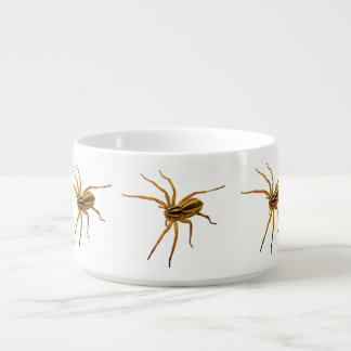 Rabid Wolf Spider (Rabidosa rabida) Bowl