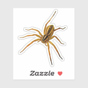 Rabid Wolf Spider (Rabidosa rabida) Sticker