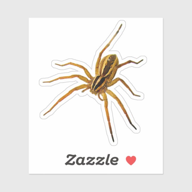 Rabid Wolf Spider (Rabidosa rabida) Sticker (Sheet)