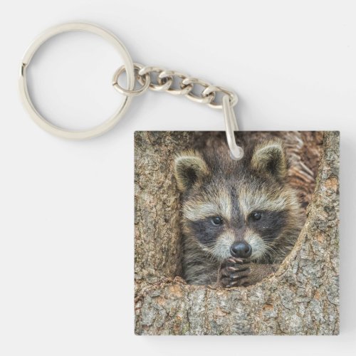 Raccon Nestled Inside a Tree Hollow Keychain