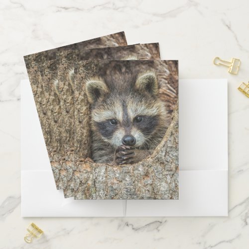 Raccon Nestled Inside a Tree Hollow Pocket Folder