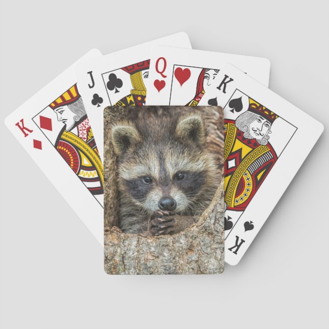 Raccon Nestled Inside a Tree Hollow Poker Cards (Back)