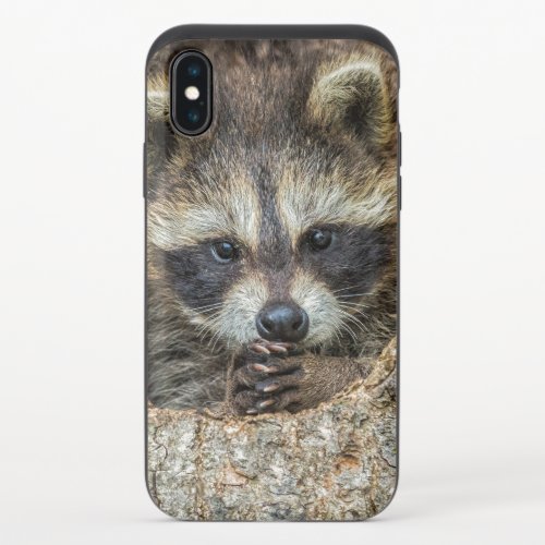 Raccon Nestled Inside a Tree Hollow iPhone X Slider Case