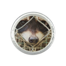 raccon on photo ring