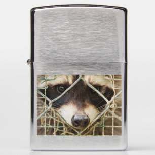 RACCON on Zippo Lighter