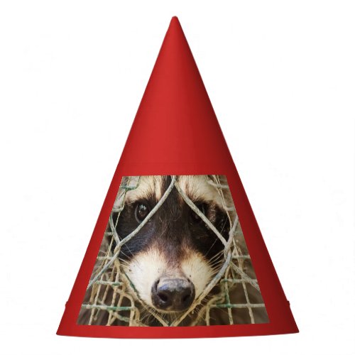 RACCON  PARTY HAT