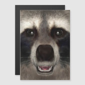 Raccoon (Front/Back)